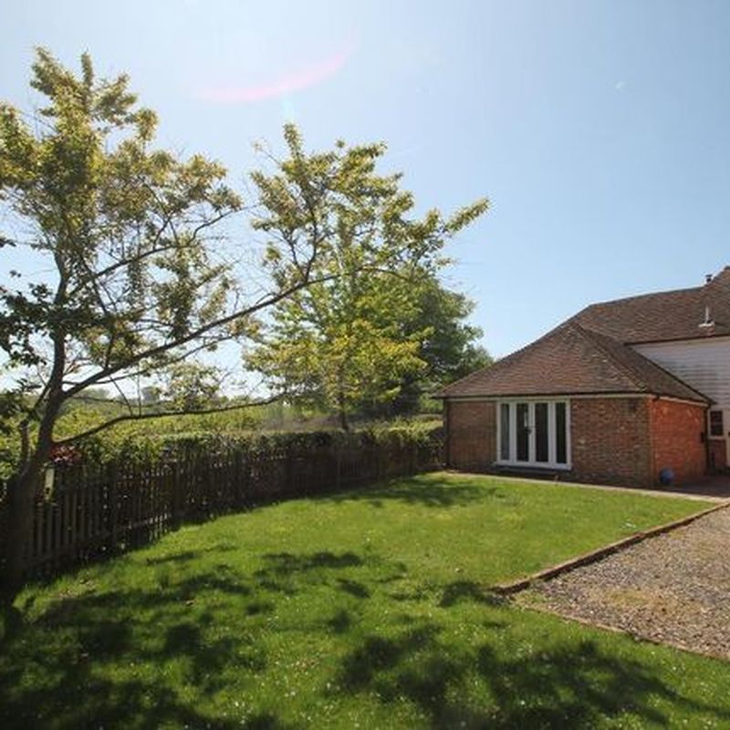 Detached house to rent in Jarvis Lane, Goudhurst, Kent TN17
