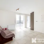 Rent 1 bedroom apartment of 30 m² in Rzeszów