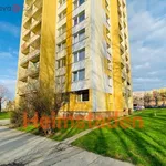 Rent 1 bedroom apartment of 29 m² in Ostrava