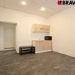 Rent 2 bedroom apartment of 30 m² in Brno