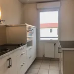 Rent 3 bedroom apartment of 65 m² in Malzéville