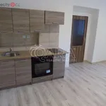 Pronajměte si 1 ložnic/e byt o rozloze 25 m² v Trhový Štěpánov