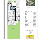 Neues Projekt: Doppelhaus oder Einzelhaus in Wilfleinsdorf! Geplante Fertigstellung Winter 2024/2025  - Reservierungen möglich