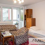 Rent 1 bedroom apartment of 33 m² in Karviná