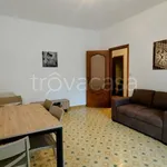 Rent 3 bedroom apartment of 80 m² in Torino