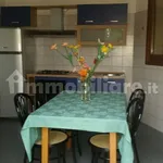 Rent 3 bedroom apartment of 80 m² in Pavia