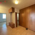 Rent 4 bedroom apartment in Vsetín