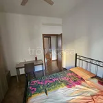 Rent 4 bedroom apartment of 100 m² in Bologna