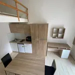 Rent 1 bedroom apartment of 18 m² in Brno