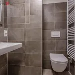 Rent 1 bedroom apartment of 23 m² in Trhový Štěpánov