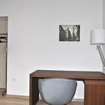 Rent 1 bedroom apartment in Brno