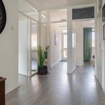 Rent 4 bedroom apartment of 89 m² in Boerhaavekwartier