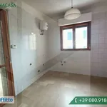 Rent 3 bedroom apartment of 85 m² in Bari