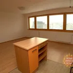 Rent 4 bedroom apartment of 122 m² in Prague