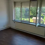 Huur 1 slaapkamer appartement in Ekeren