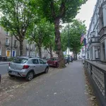 Rent 1 bedroom apartment in dublin