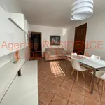 Rent 3 bedroom apartment of 50 m² in Padova