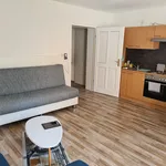 Miete 1 Schlafzimmer wohnung von 50 m² in Nuremberg