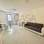 Rent 1 bedroom apartment of 55 m² in Aosta