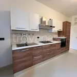 Rent 2 bedroom apartment of 55 m² in Milano