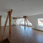 Rent 1 bedroom apartment of 250 m² in Ústí nad Labem