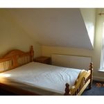 Rent 1 bedroom house in Wales