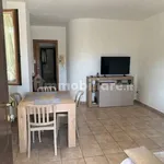 Rent 3 bedroom apartment of 70 m² in Montesilvano