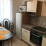 Rent 2 bedroom apartment of 44 m² in Debrecen