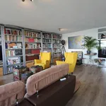 Rent 3 bedroom apartment of 90 m² in Oostelijk Havengebied