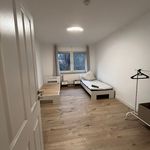 Rent 2 bedroom apartment of 55 m² in Wuppertal