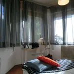 Rent a room in padua