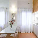 Rent 1 bedroom apartment of 35 m² in florence