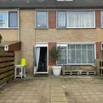 Fazantenveld, Cuijk - Amsterdam Apartments for Rent