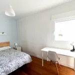 Alquilar 6 dormitorio apartamento en Pamplona