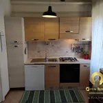 Rent 1 bedroom apartment of 18 m² in vicenza