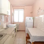 Rent 2 bedroom apartment of 48 m² in Timișoara