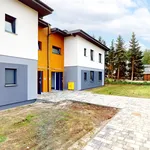 Rent 3 bedroom apartment of 63 m² in Rybnik