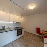 Miete 2 Schlafzimmer wohnung von 47 m² in Nuremberg