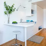 Miete 3 Schlafzimmer wohnung von 28 m² in Graz