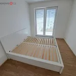 Rent 2 bedroom apartment in Brno