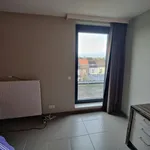  appartement avec 1 chambre(s) en location à Kortrijk