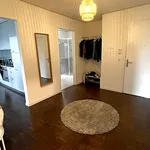 Rent 3 bedroom apartment in Zurich