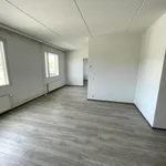 Vuokraa 2 makuuhuoneen talo, 56 m² paikassa Savio,