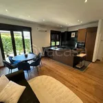 Rent 7 bedroom apartment of 150 m² in Forte dei Marmi