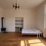 Rent 1 bedroom apartment of 49 m² in Písek