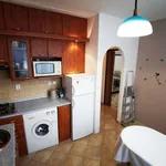 Rent 1 bedroom apartment of 33 m² in Jihlava