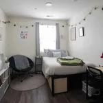 Rent 1 bedroom apartment in Flagstaff