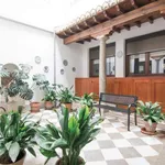 Rent 1 bedroom apartment in granada