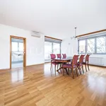 Rent 4 bedroom apartment of 230 m² in Zagreb