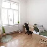 Rent 1 bedroom apartment of 12 m² in Brno